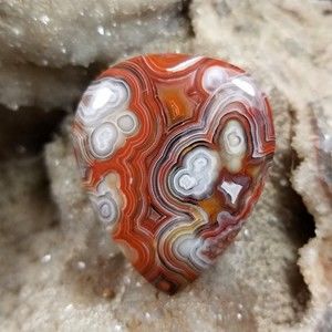 Meet your Posher, Ben